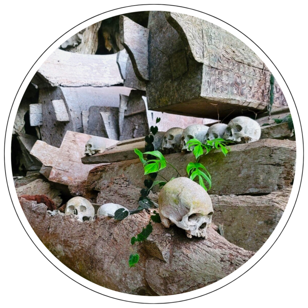 Mehr über den Artikel erfahren Das Ding mit dem Tod